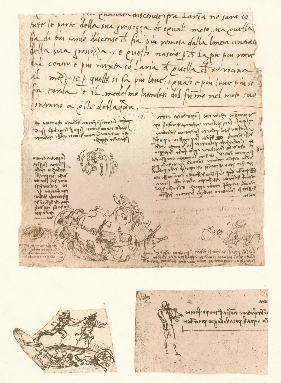 Tre tegninger, c1472-c1519 1883 av Leonardo da Vinci