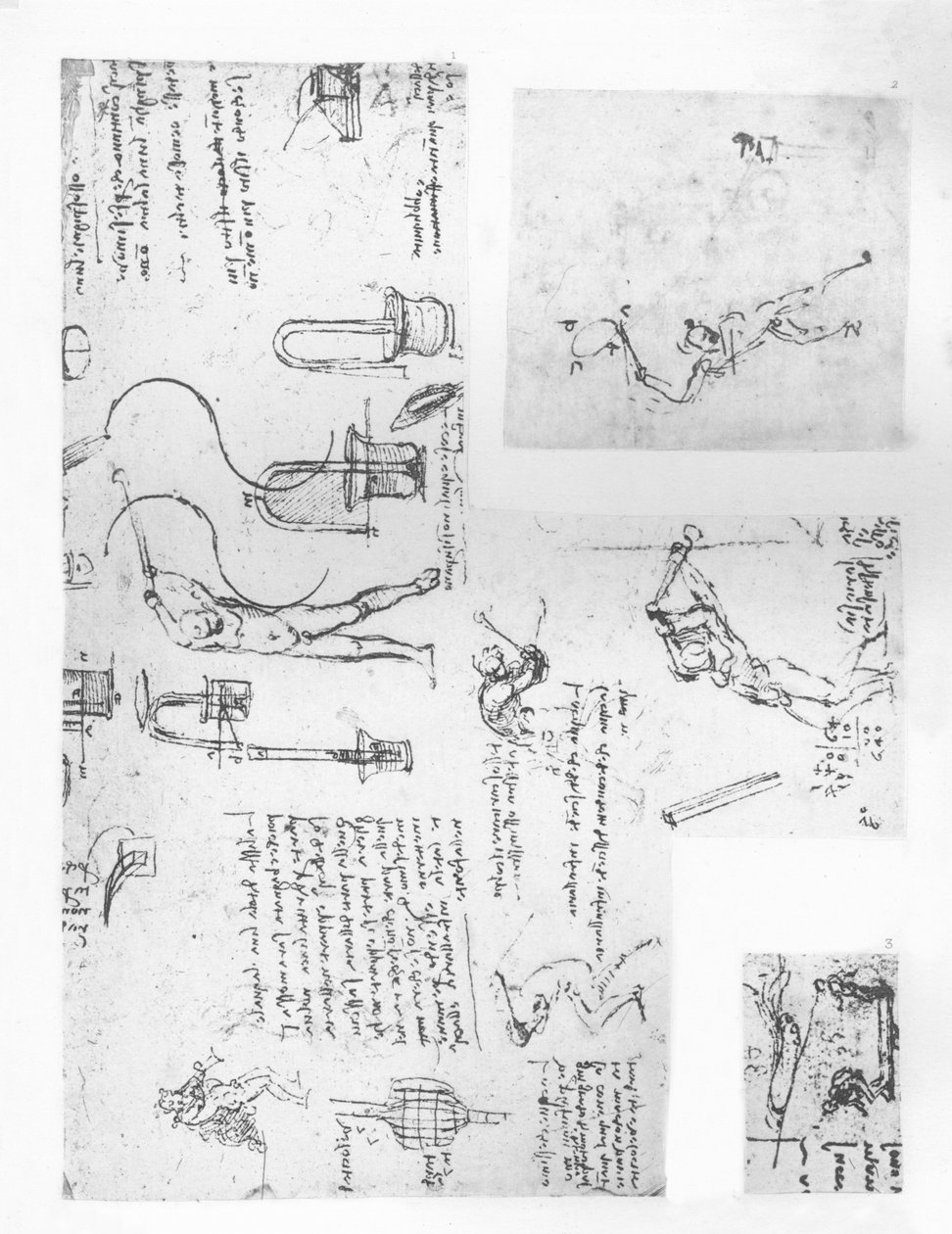 Tre tegninger som illustrerer teorien om bevegelsene til den menneskelige figuren, c1472-c1519 1883 av Leonardo da Vinci