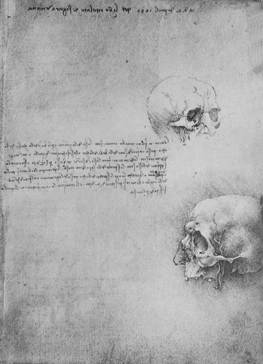 To tegninger av hodets beinstruktur, c1480 1945 av Leonardo da Vinci