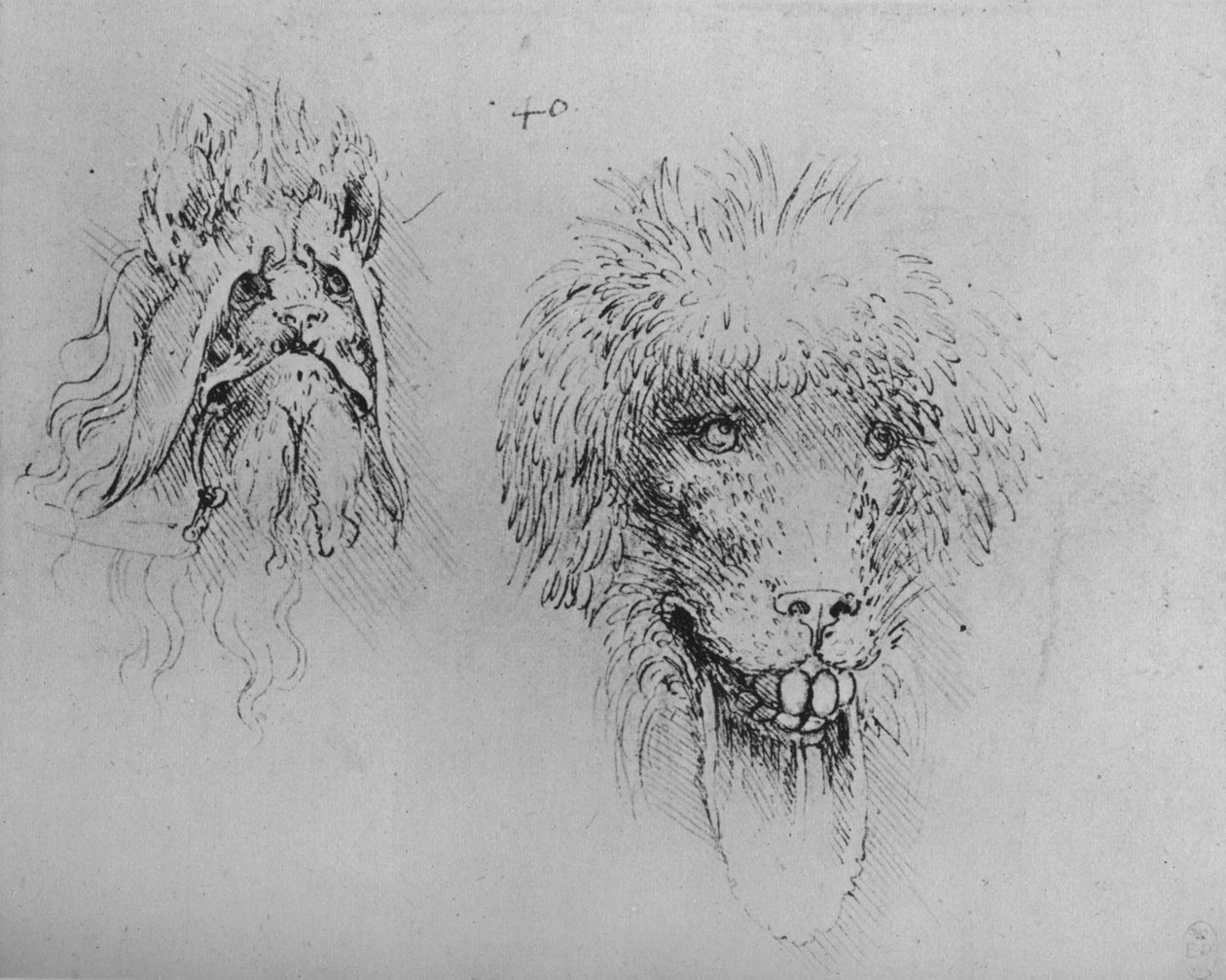 Two Heads of Monsters, c1480 1945 av Leonardo da Vinci