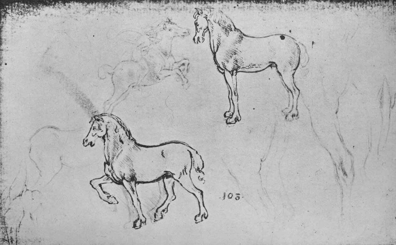 To studier av hester, en av en galopperende rytter og andre av hesteben, c1480 1945 av Leonardo da Vinci