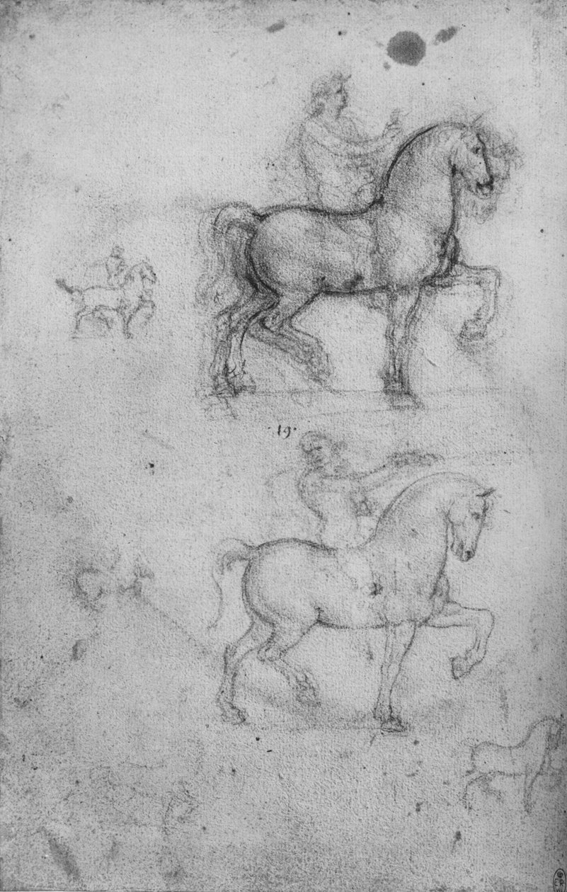 To studier av hester og ryttere og mindre studier av hester, c1480 1945 av Leonardo da Vinci