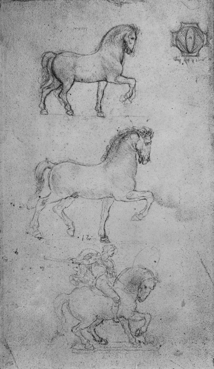 To studier av en hest og en av en hest og rytter, c1480 1945 av Leonardo da Vinci