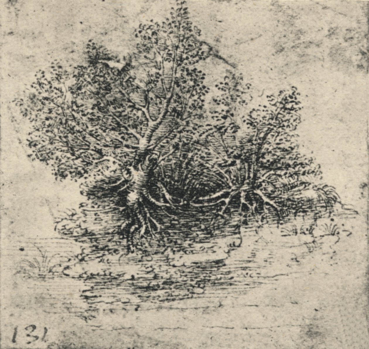 To trær på bredden av en bekk, c1480 1945 av Leonardo da Vinci