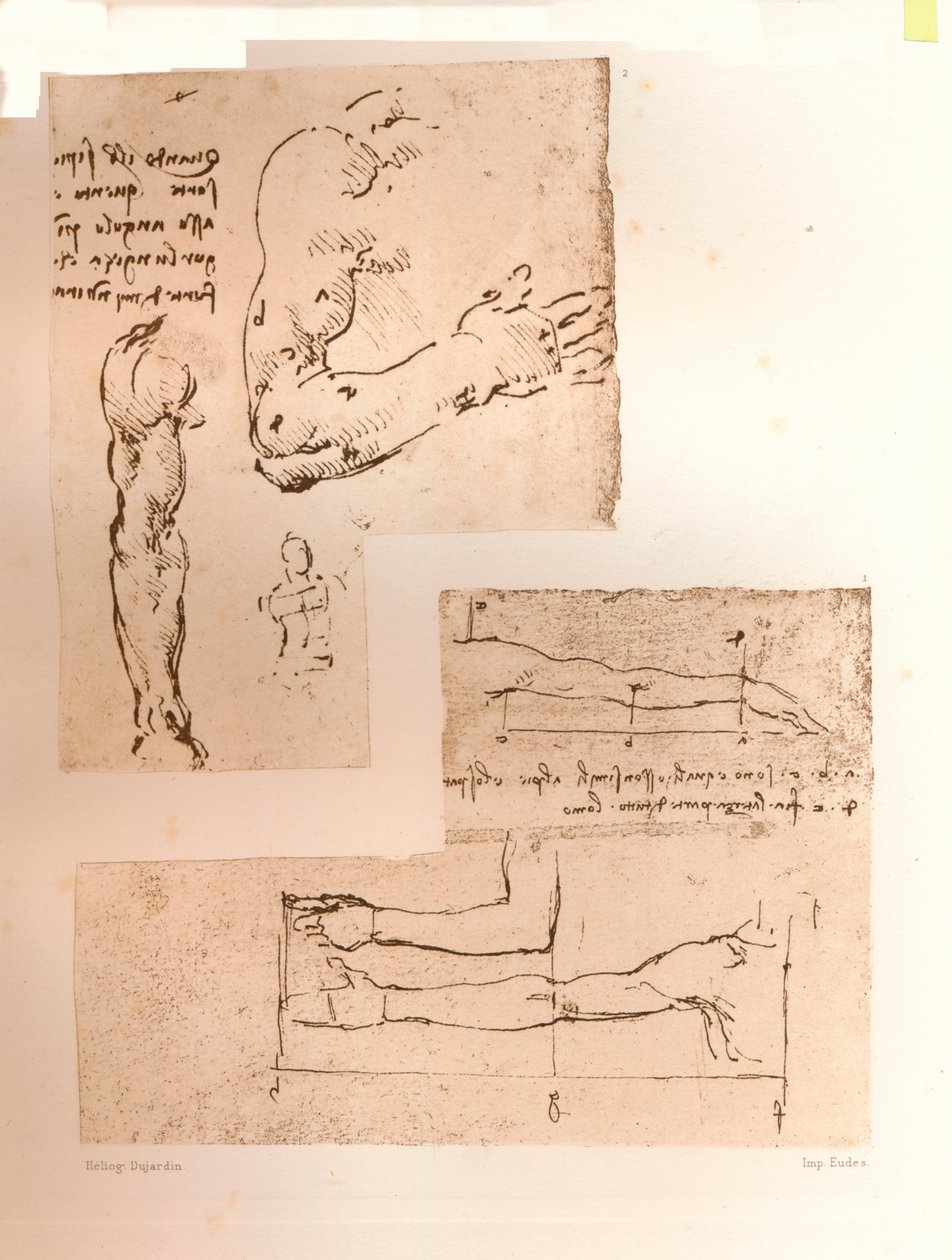 To tegninger som illustrerer teorien om proporsjonene til den menneskelige figuren, c1472-c1519 1883 av Leonardo da Vinci
