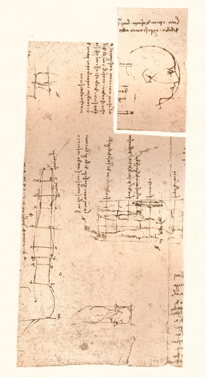 To tegninger som illustrerer teorien om proporsjonene til den menneskelige figuren, c1472-c1519 1883 av Leonardo da Vinci