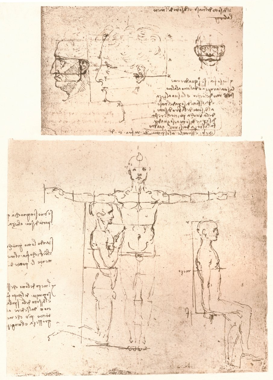 To tegninger som illustrerer teorien om proporsjonene til den menneskelige figuren, c1472-c1519 1883. av Leonardo da Vinci