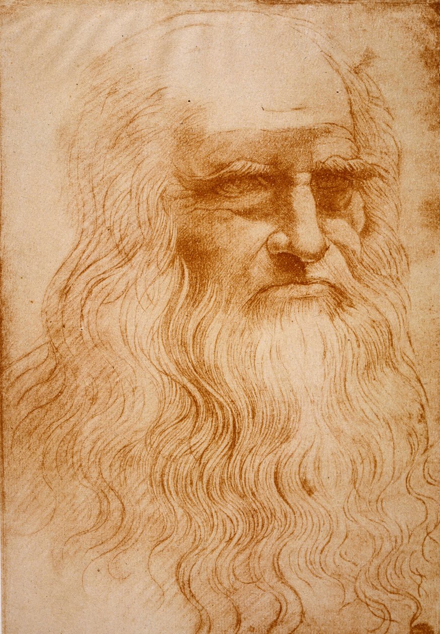 Ukjent bilde av Leonardo da Vinci
