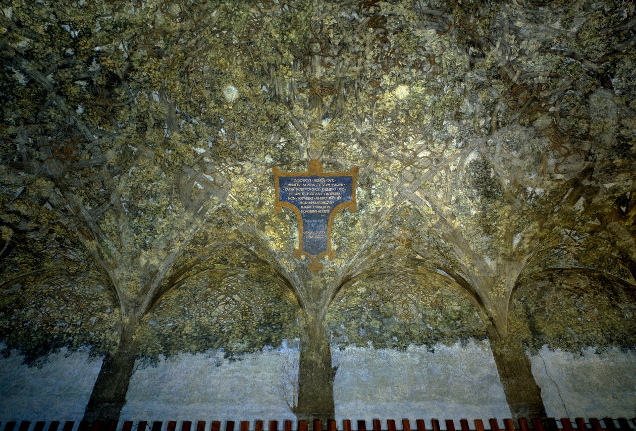 Vegetabilsk interlacing. Tempera på veggen av Leonardo da Vinci (1452-1519) (Leonard de Vinci) 1498 Sala delle Asse, Castello Sforzesco (Slott av hertugene Sforza) Milano av Leonardo da Vinci
