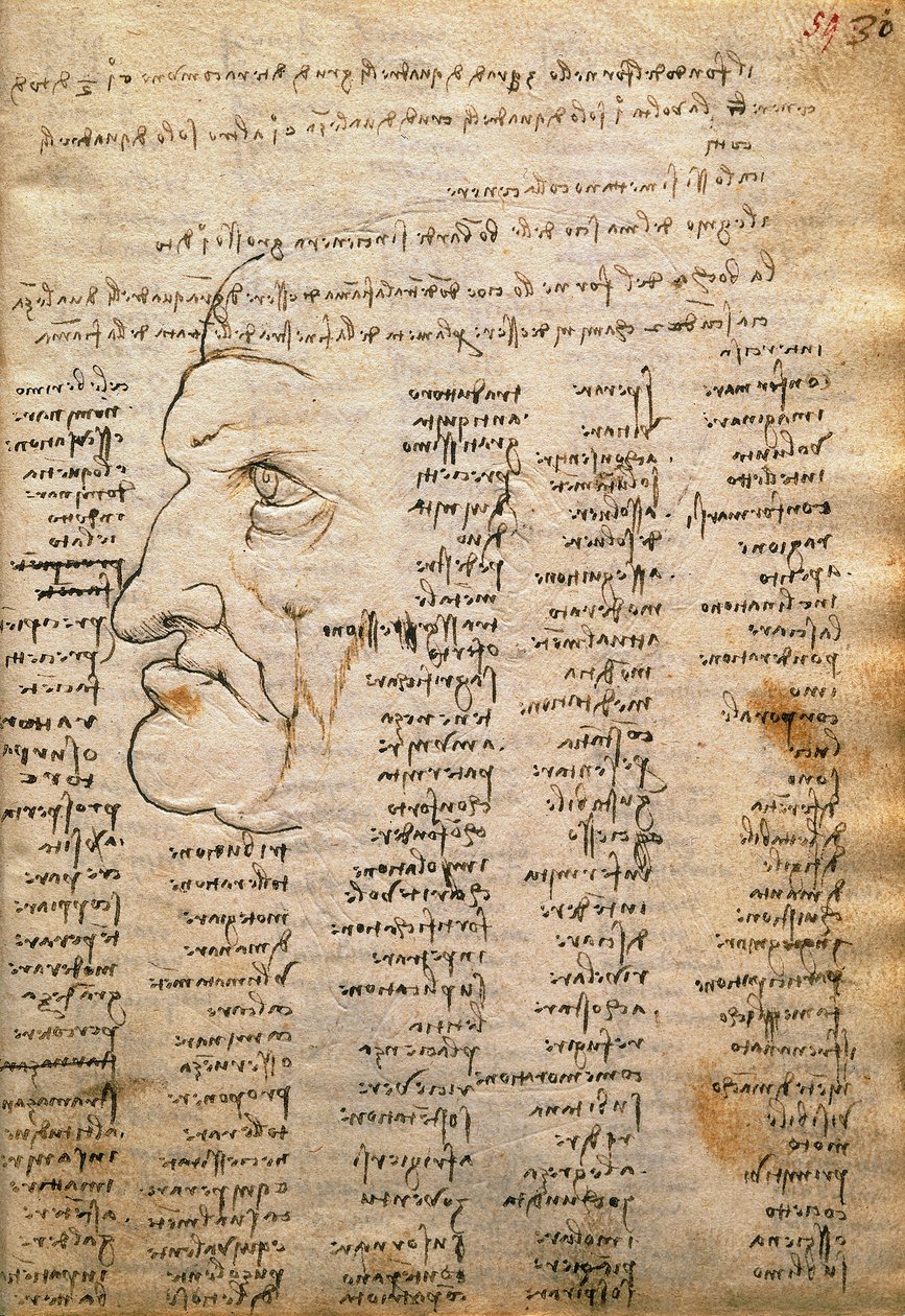 Ordliste og mannsprofil, fra Codex Trivulzianus av Leonardo da Vinci