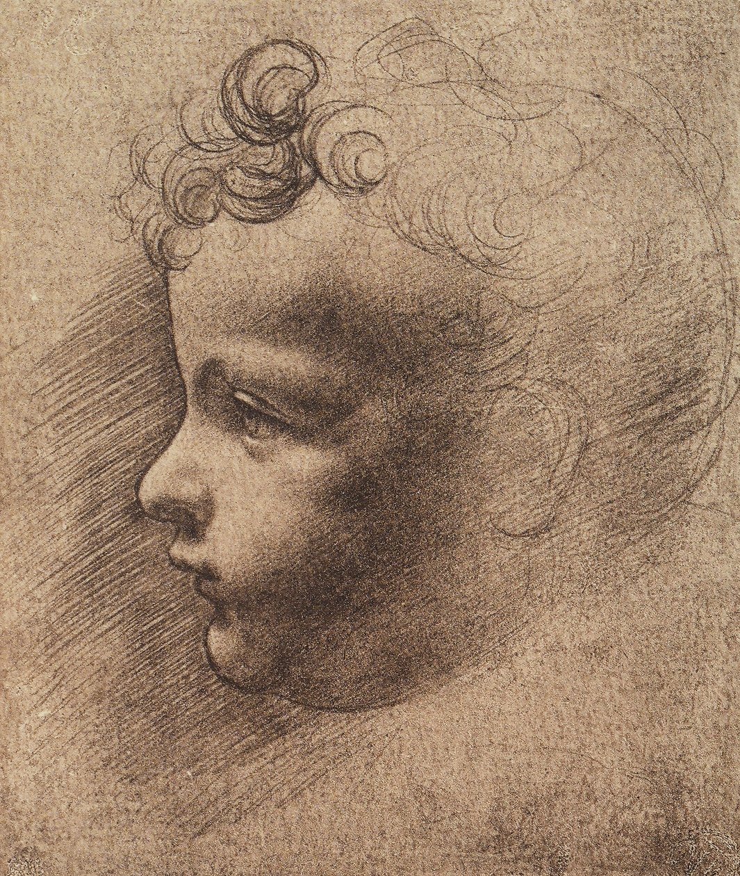 Hodet til en liten gutt; tegning av Leonardo da Vinci. Louvre, Paris av Leonardo da school of Vinci