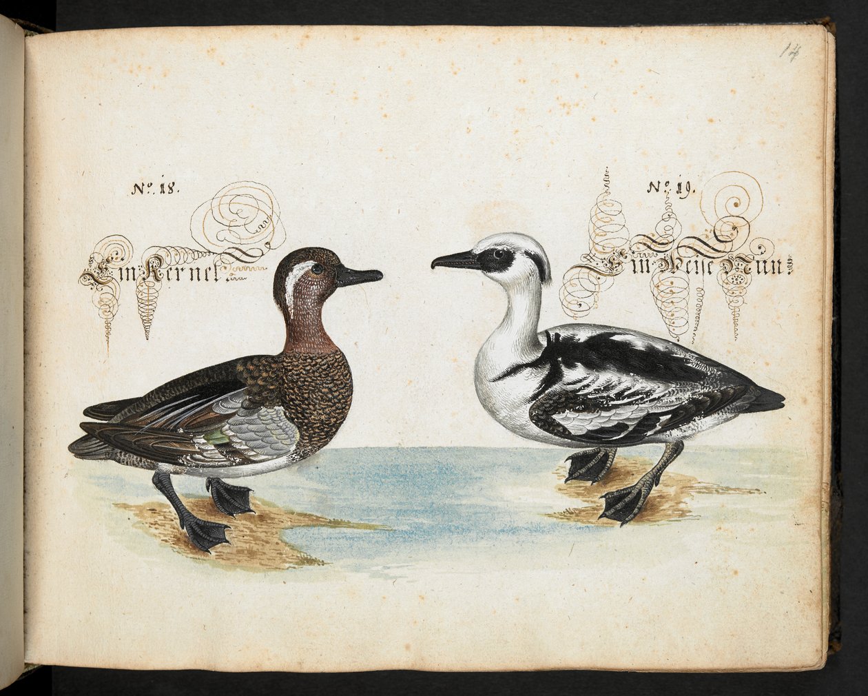 Legg til MS 6485 av Leonhard Baldner
