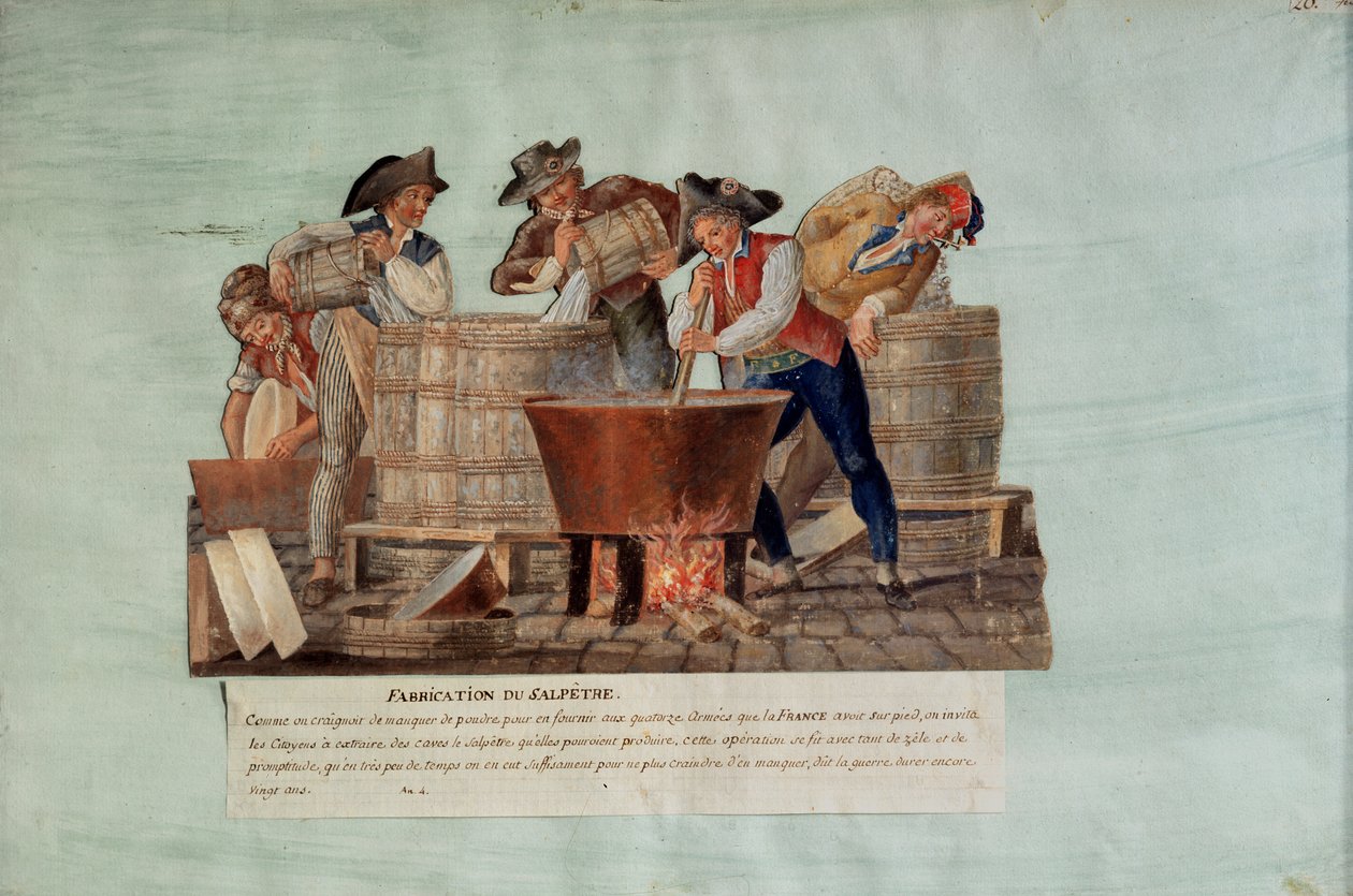 Lage salpeter (gouache på kort) av Lesueur Brothers