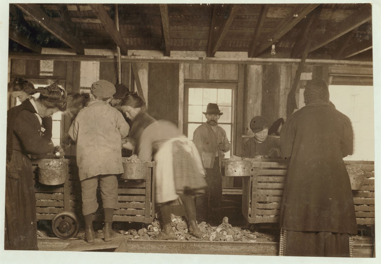 10 år gamle Mike Murphy, 7 år gamle Annie Healy og 10 år gamle Ross Healy (som har jobbet i 2 år) i skuret ved Alabama Canning Co, Bayou La Batre, Alabama, 1911 av Lewis Wickes Hine