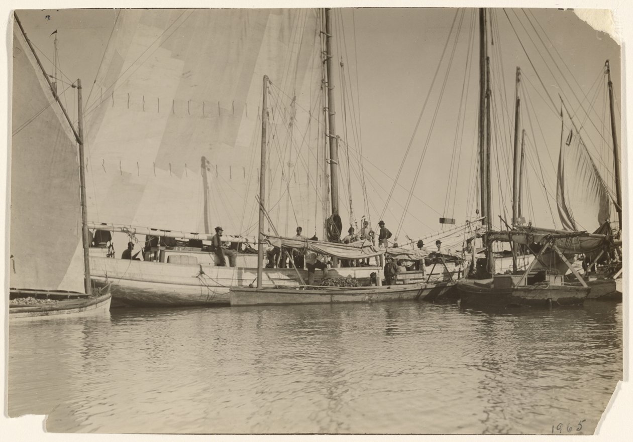  av Lewis W. Hine