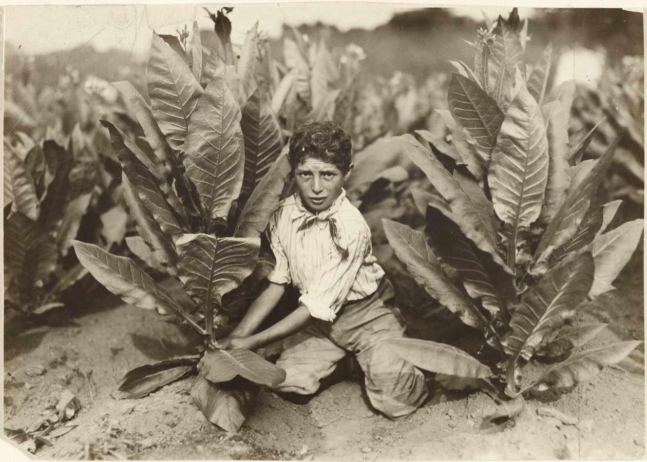  av Lewis W. Hine