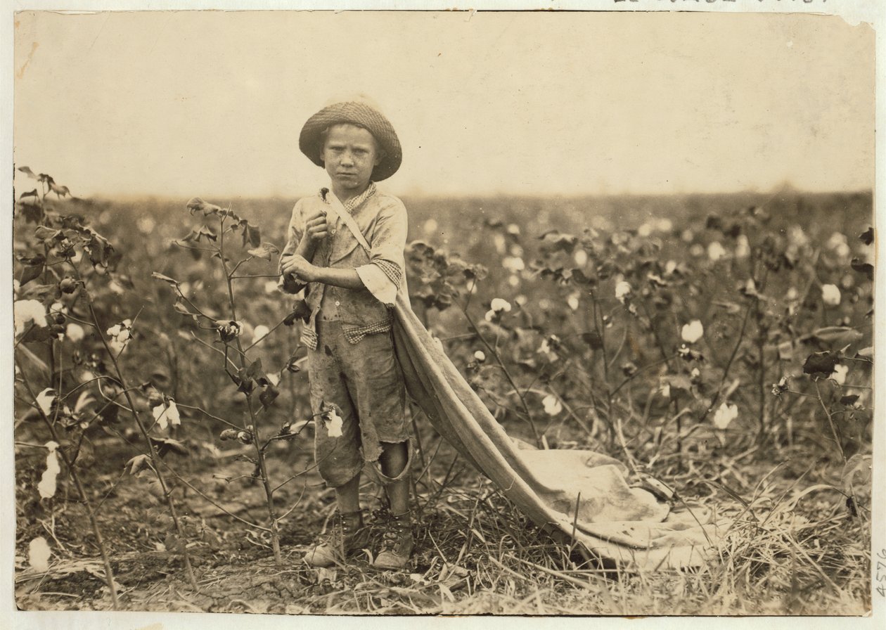 6 år gamle Warren Frakes med omtrent 20 pund bomull i vesken i Comanche County, Oklahoma, 1916 av Lewis Wickes Hine