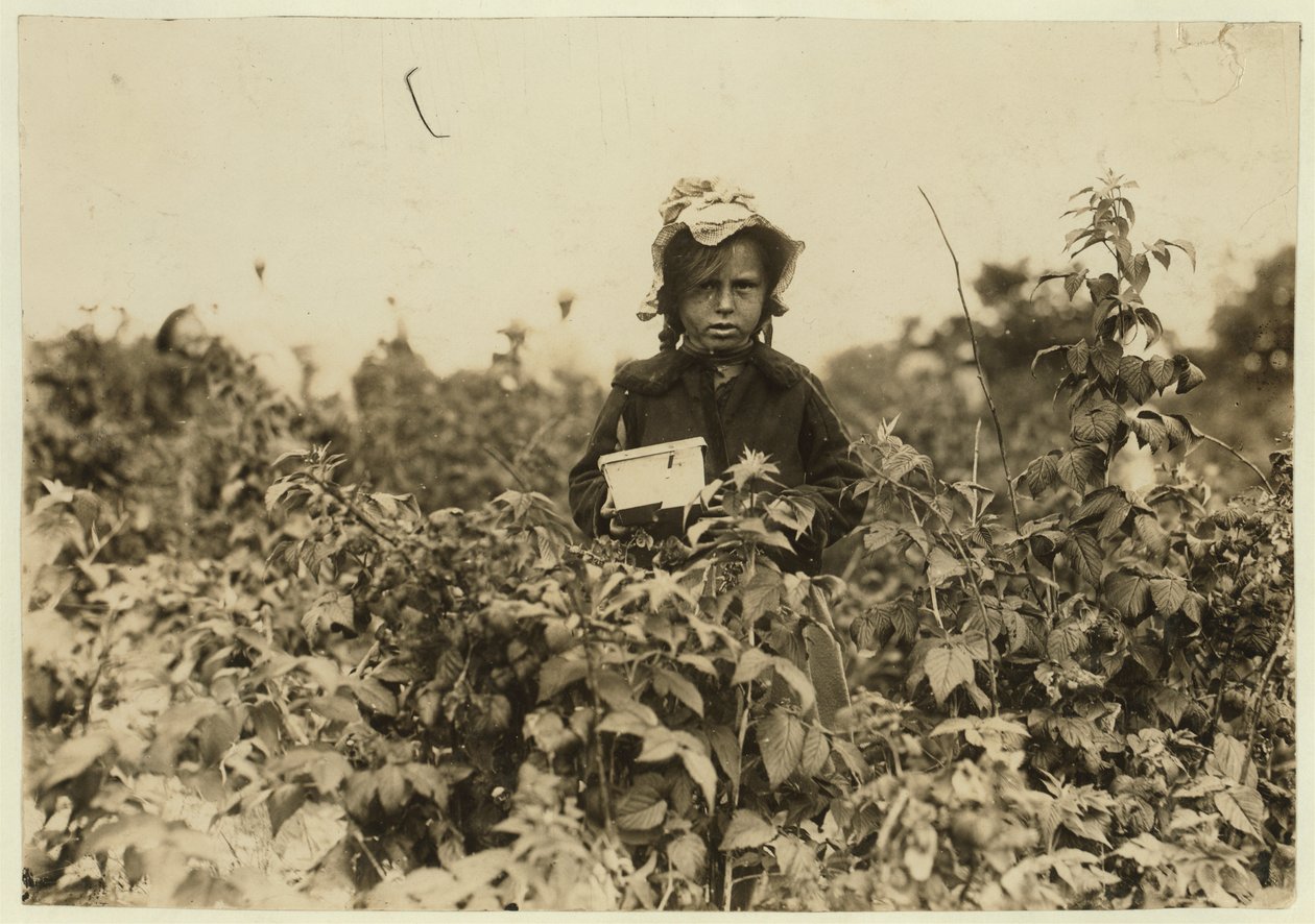Annie Bissie plukket bær på jordene nær Baltimore, Maryland, 1909 av Lewis Wickes Hine