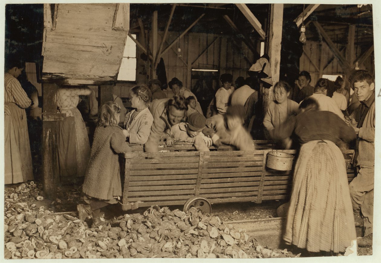 Bill May, 5 år gammel som tjener 15 cent om dagen, i skuret ved Barataria Canning Company, Biloxi, Mississippi, 1911 av Lewis Wickes Hine