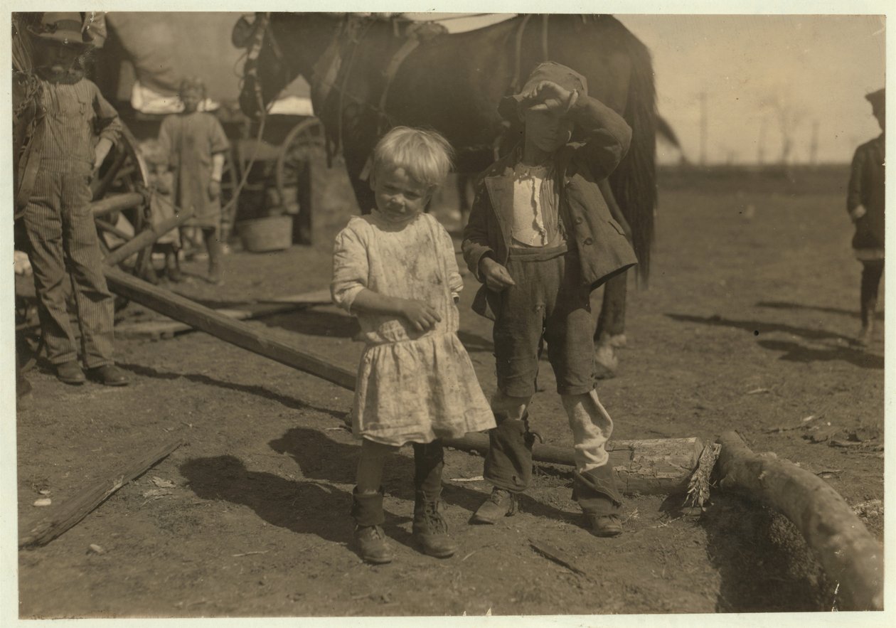Bomullsplukker på 4 år som plukker 15 pund om dagen regelmessig og 7 år gammel som plukker 50. De flytter fra gård til gård og bor i emigrantvogner, McKinney, Texas, 1913 av Lewis Wickes Hine