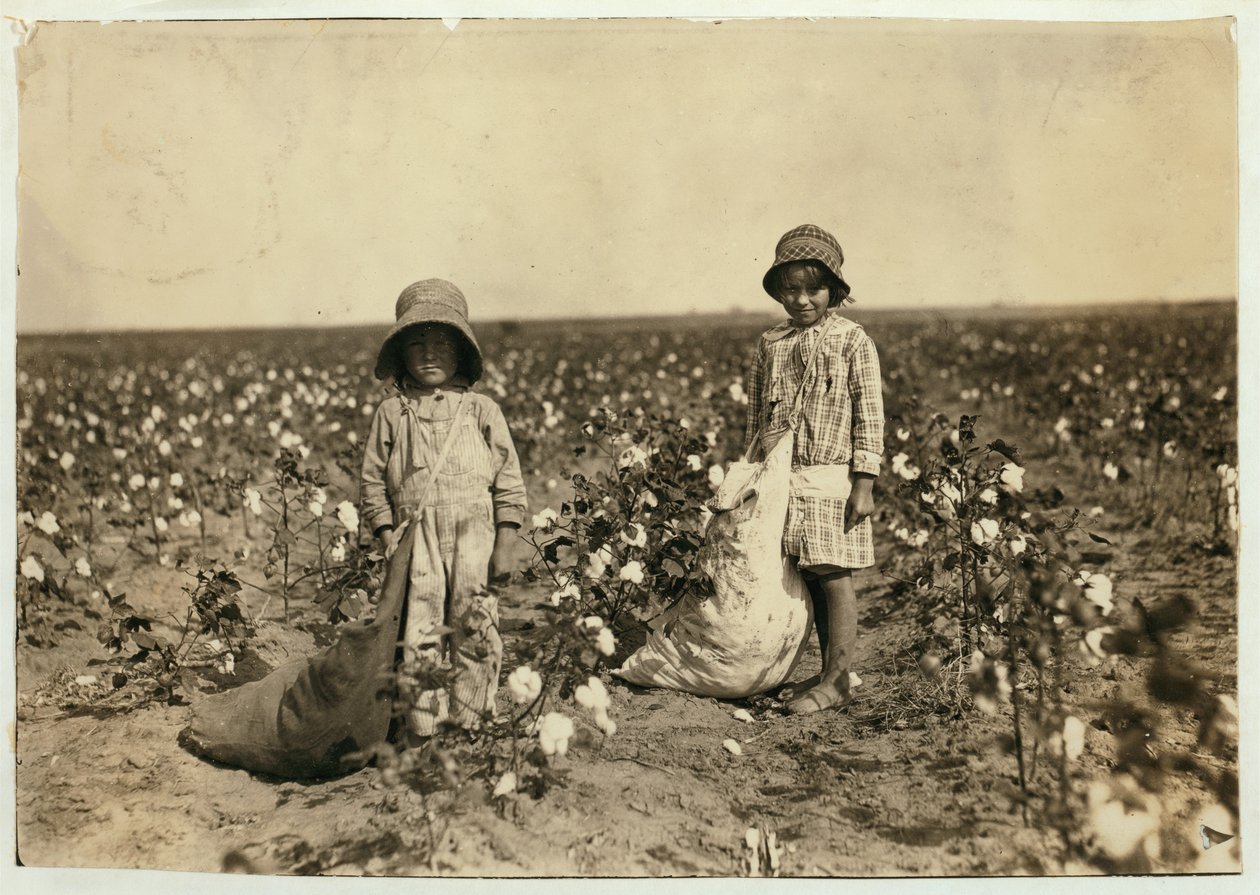 Jewel og Harold Walker, 6 og 5 år gamle, plukker 20 til 25 pund bomull om dagen i Geronimo, Comanche County Oklahoma, 1916 av Lewis Wickes Hine