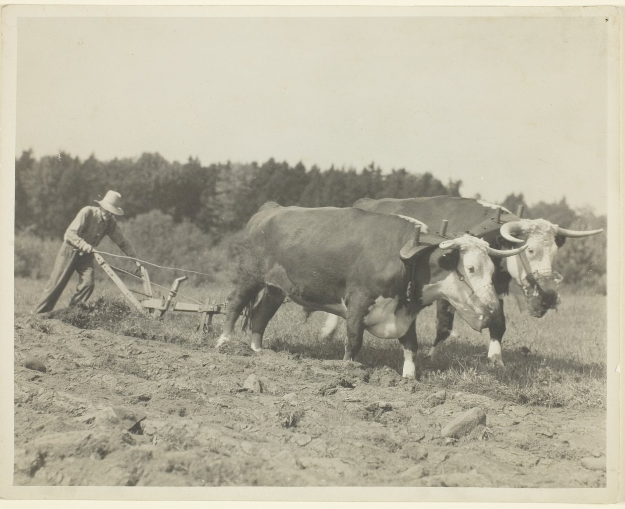  av Lewis Wickes Hine