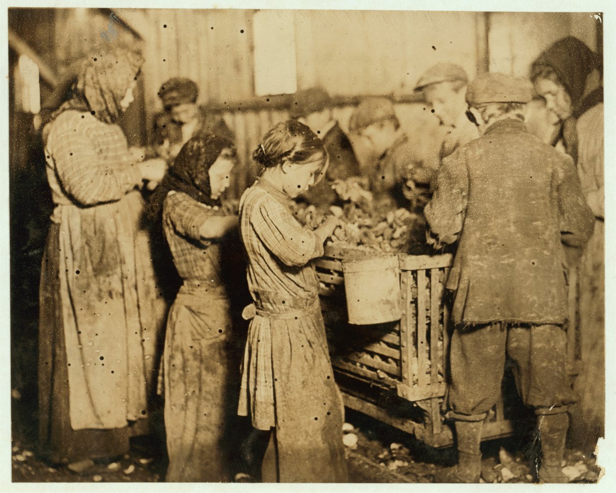 Shuckers i alderen rundt 10 åpner østers i Barn und Platt Canning Company, Yonges Island, South Carolina, 1913 av Lewis Wickes Hine