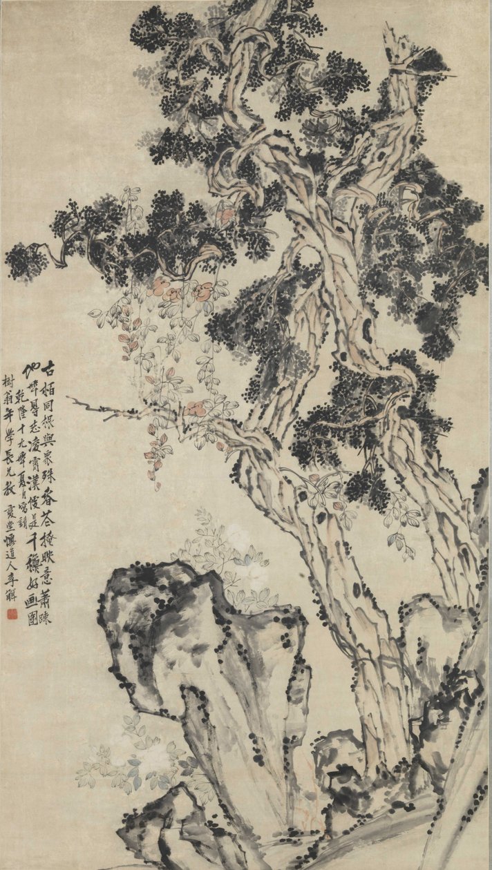 Cypress topp. av Li Shan