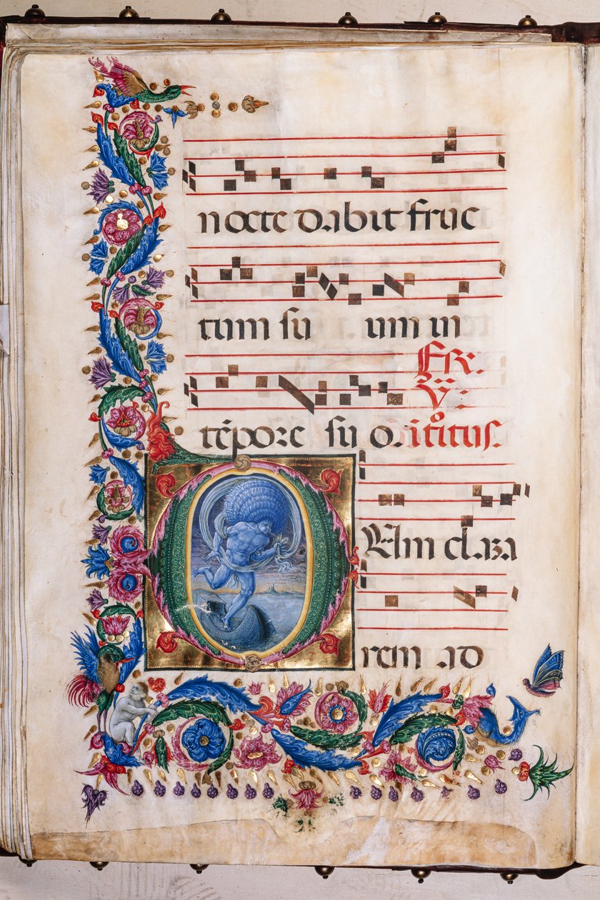 Piccolomini bibliotek: korbok, torsk. 20.5, ff. 36v med "Aeolus", av Liberale da Verona (ca. 1445 - 1527/9). av Liberale da Verona