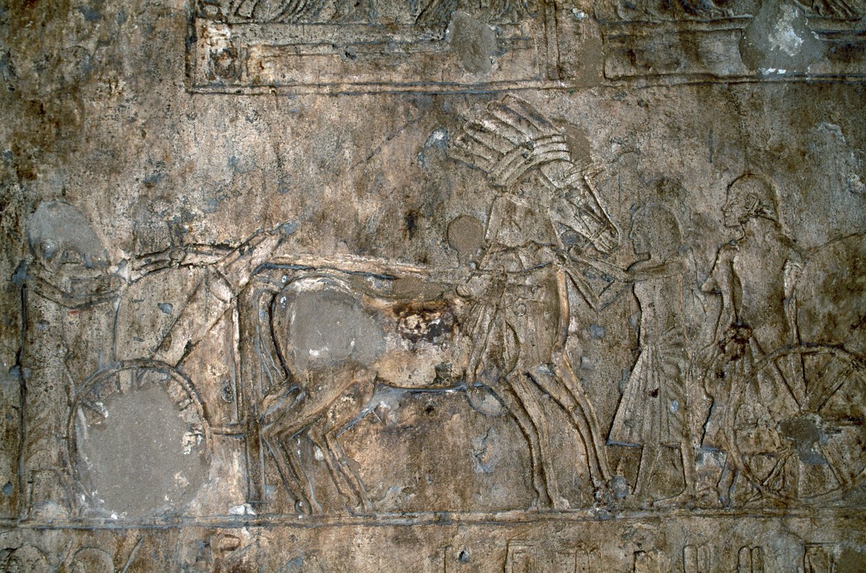Basrelieff med vogn, Necropolis of Tell el-Amarna, Egypt, egyptisk sivilisasjon, New Kingdom, Dynasti XVIII av Unbekannt Unbekannt