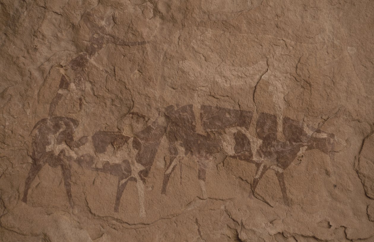 Storfe og menneskefigurer, Hulemaleri, Oued i Djeran, Nær Djanet, Tassili n'Ajjer (Unescos verdensarvliste av Unbekannt Unbekannt