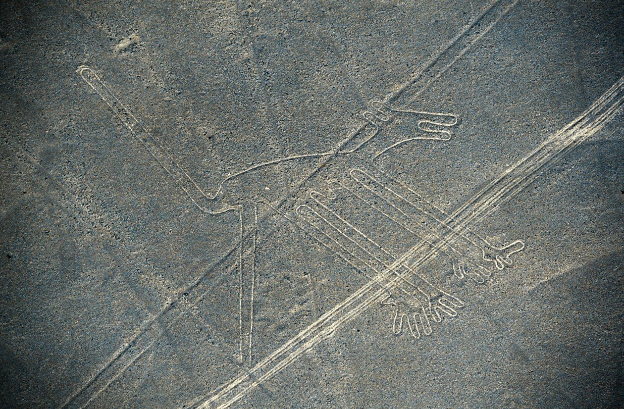 Hund, Nazca-linjer, Nazca, Peru, Nazca-sivilisasjonen (bilde) av Unbekannt Unbekannt