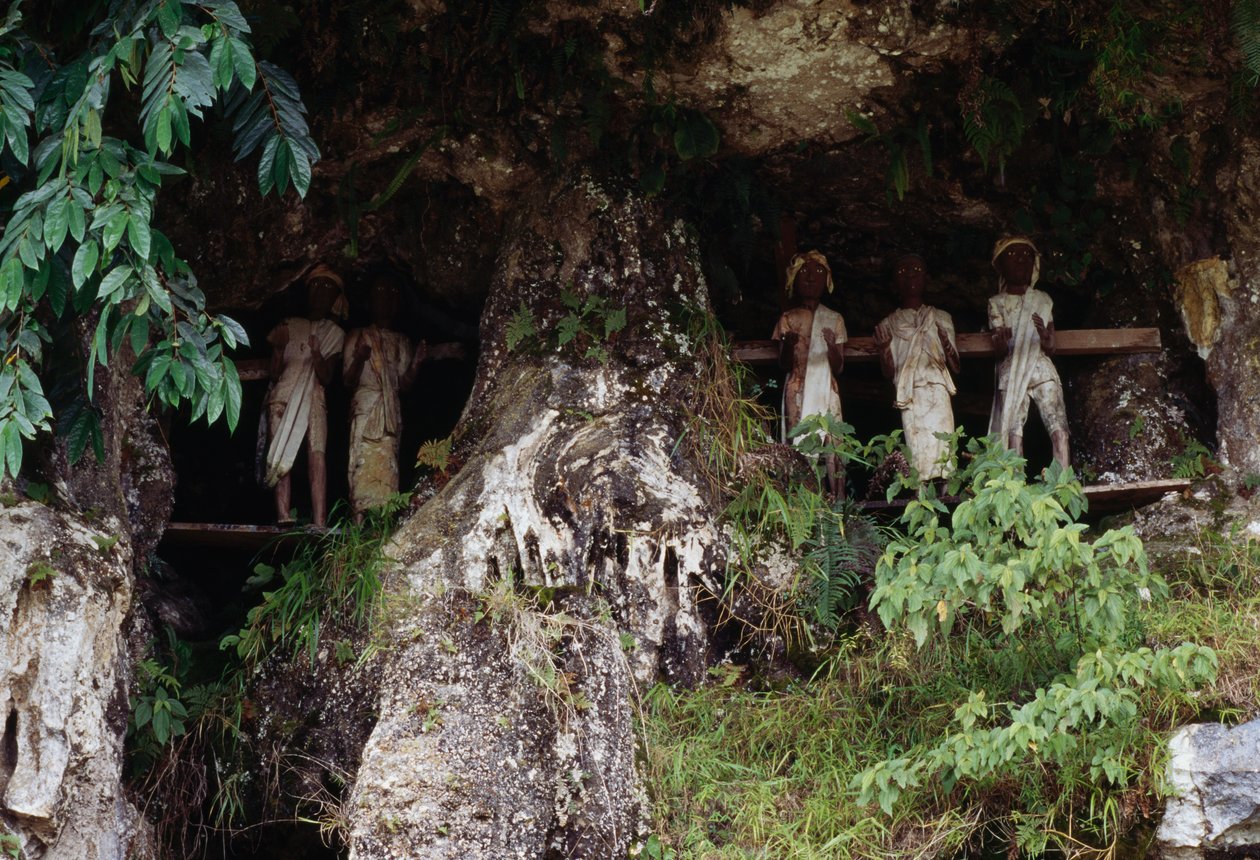 Begravelsesnisjer med Tau Tau likhusfigurer, landsbyen Marrante, Tana Toraja, øya Sulawesi, Indonesia av Unbekannt Unbekannt