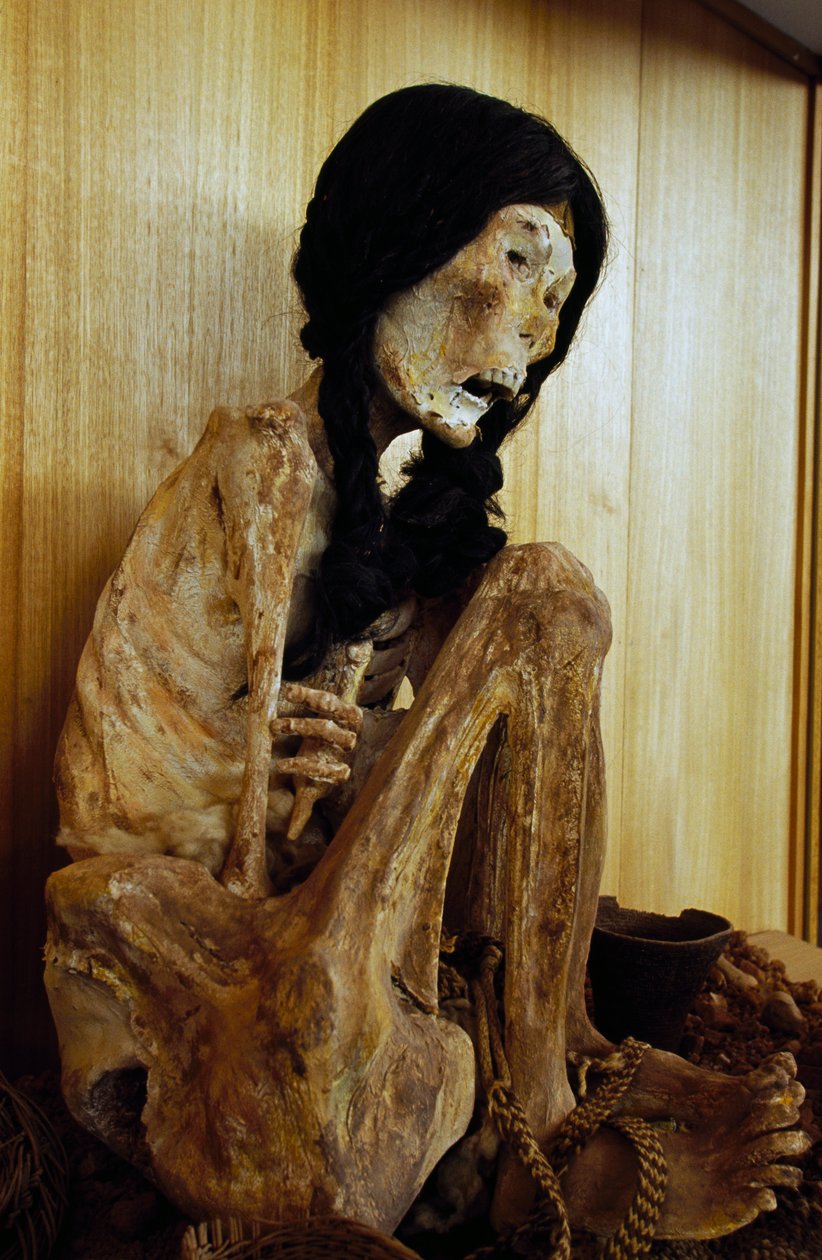 Mamma kjent som Miss Chile, fra San Pedro de Atacama, Chile, 500 f.Kr av Unbekannt Unbekannt