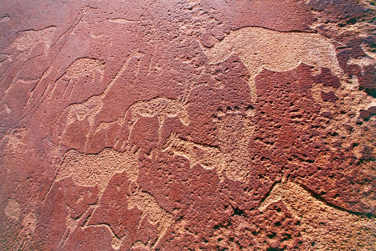 Namibia, Damaraland villmarksområde, Twyfelfontein, Brandberg-fjellene, steinaldergraveringer av Unbekannt Unbekannt