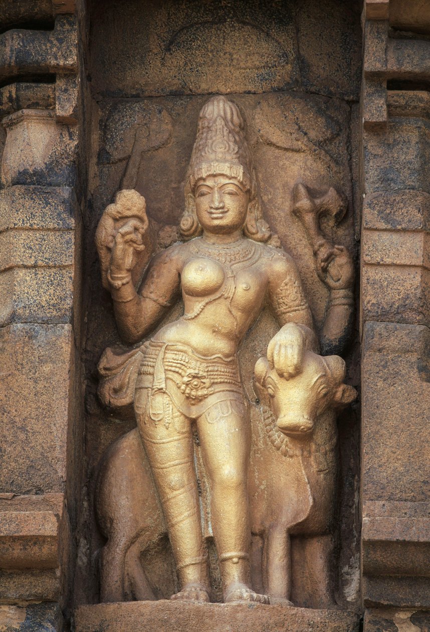 Relieff som viser Parvati, Brihadisvara-tempelet, Gangaikonda Cholapuram, Tamil Nadu, India av Unbekannt Unbekannt