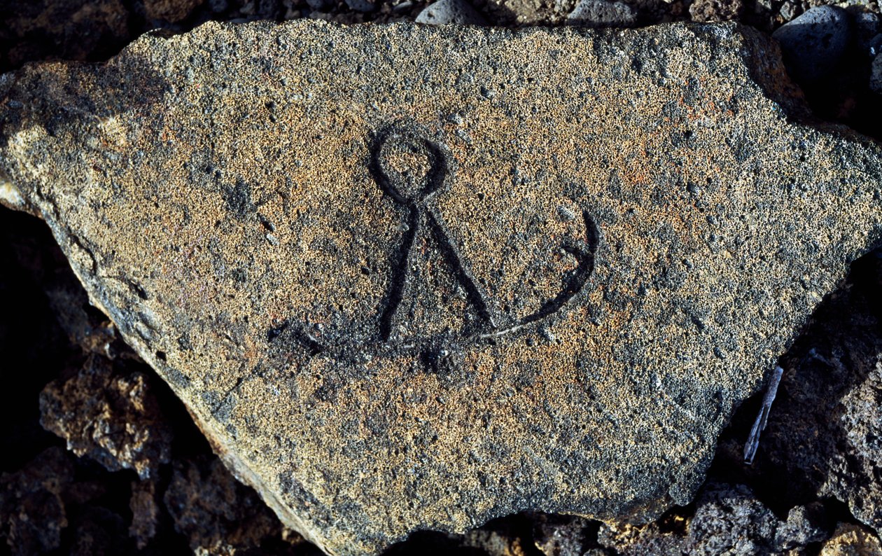 Steingravering, Puako Petroglyph Archaeological District, Island of Hawaii, USA av Unbekannt Unbekannt