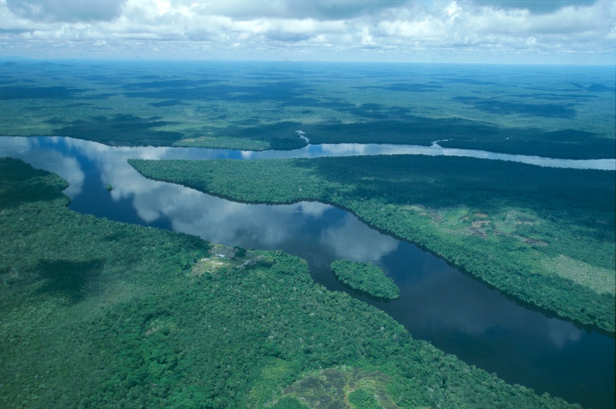 Venezuela, Guayana, Amazonas State, Orinoco River, luftfoto (bilde) av Unbekannt Unbekannt