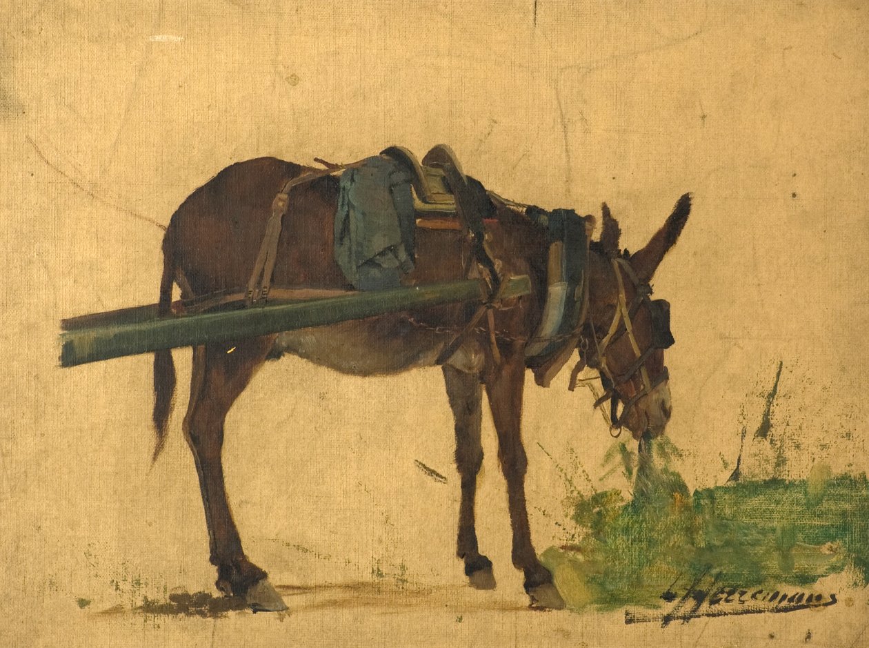 Studie av et muldyr (olje på lerret) av Lievan Herremans