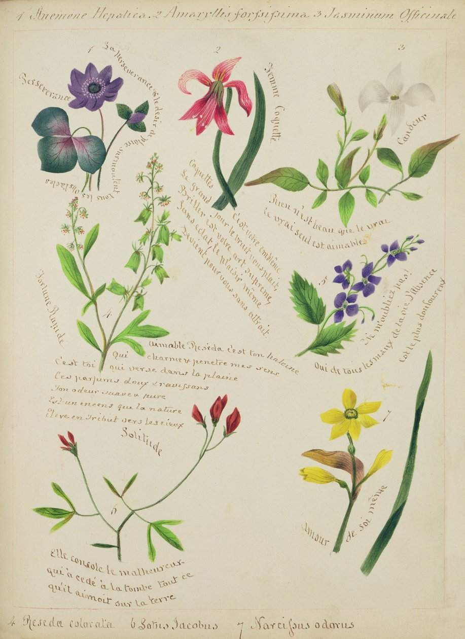 Ville blomster (side fra en skissebok med vers) av Lili Cartwright