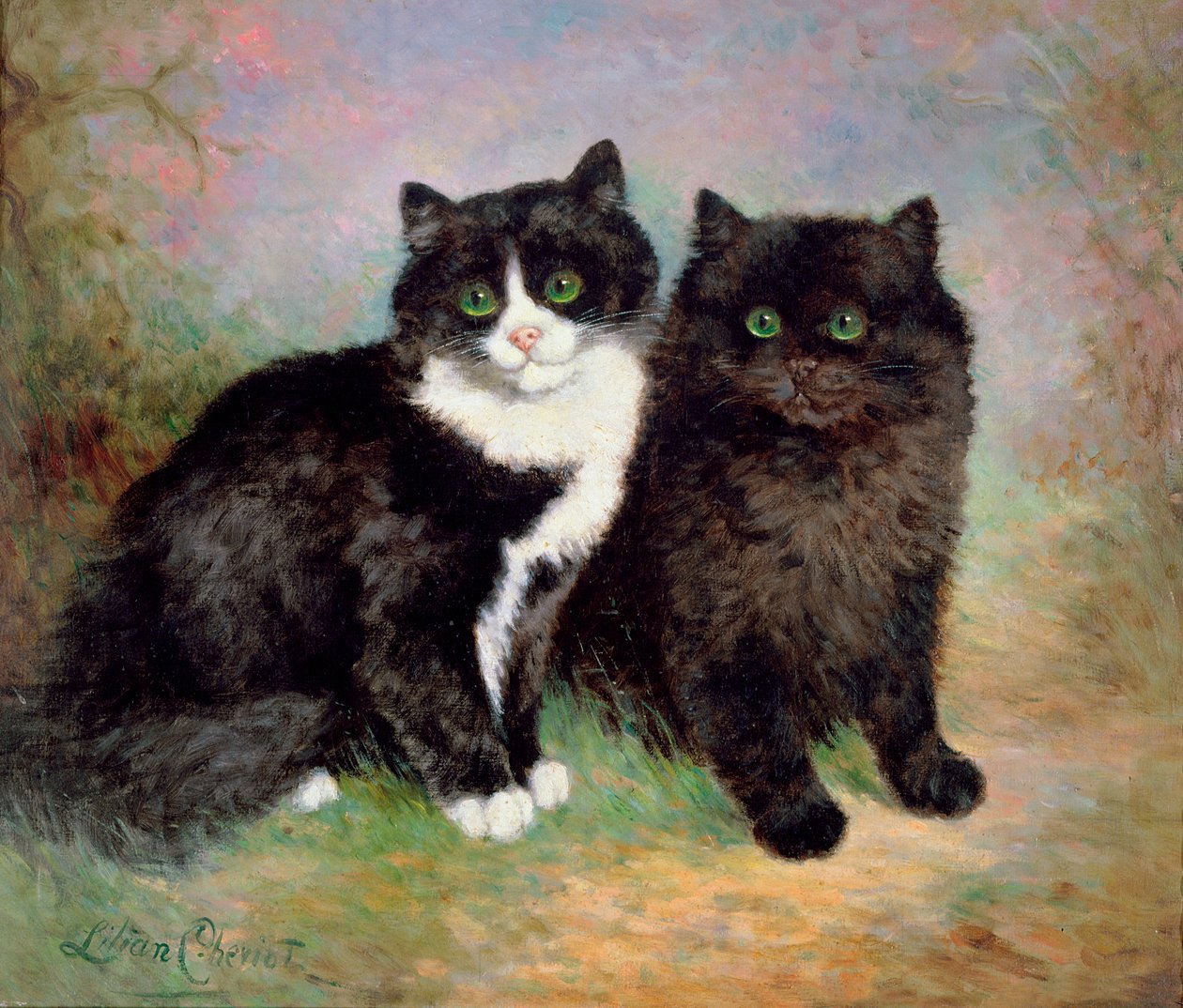 Et par Pussy Cats av Lilian Cheviot