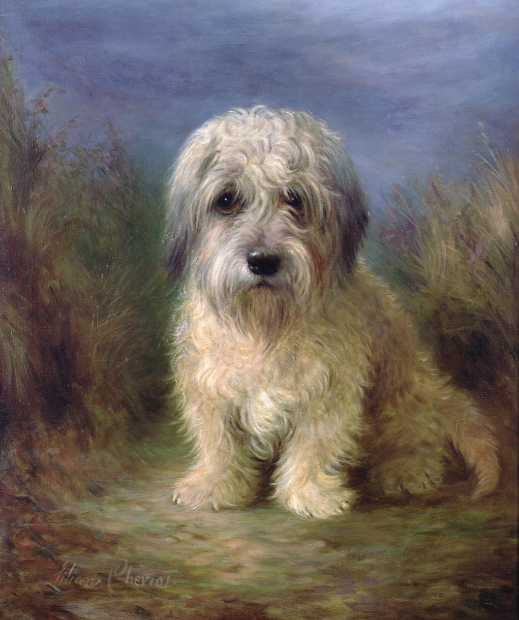 Dandie Dinmont Terrier (olje på lerret) av Lilian Cheviot