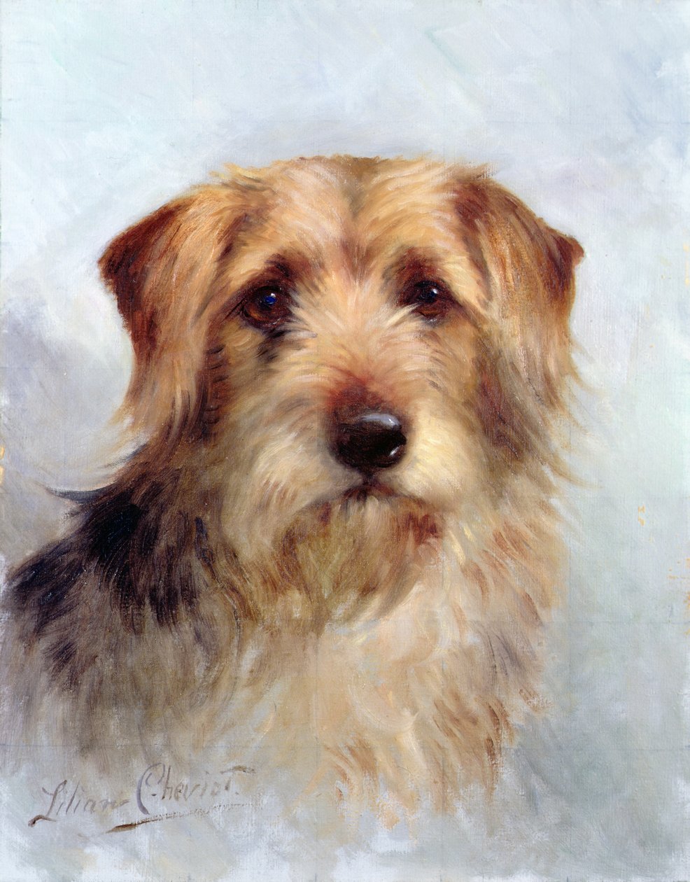 En av familien av Lilian Cheviot