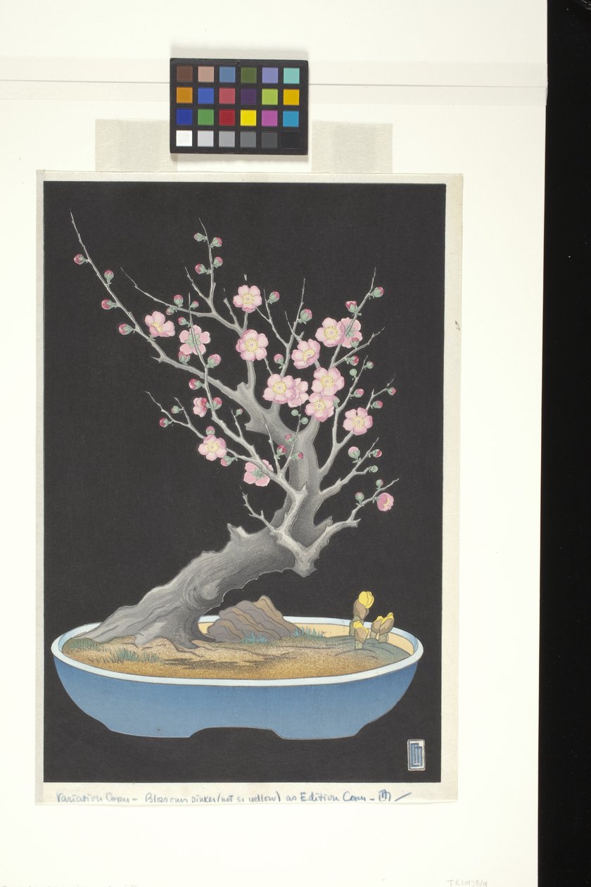 Japansk dvergplomme (farget treblokktrykk) av Lilian May Miller
