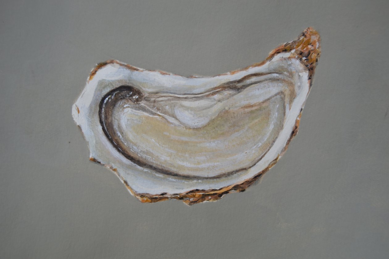 Breton Oyster 1 av Lincoln Seligman