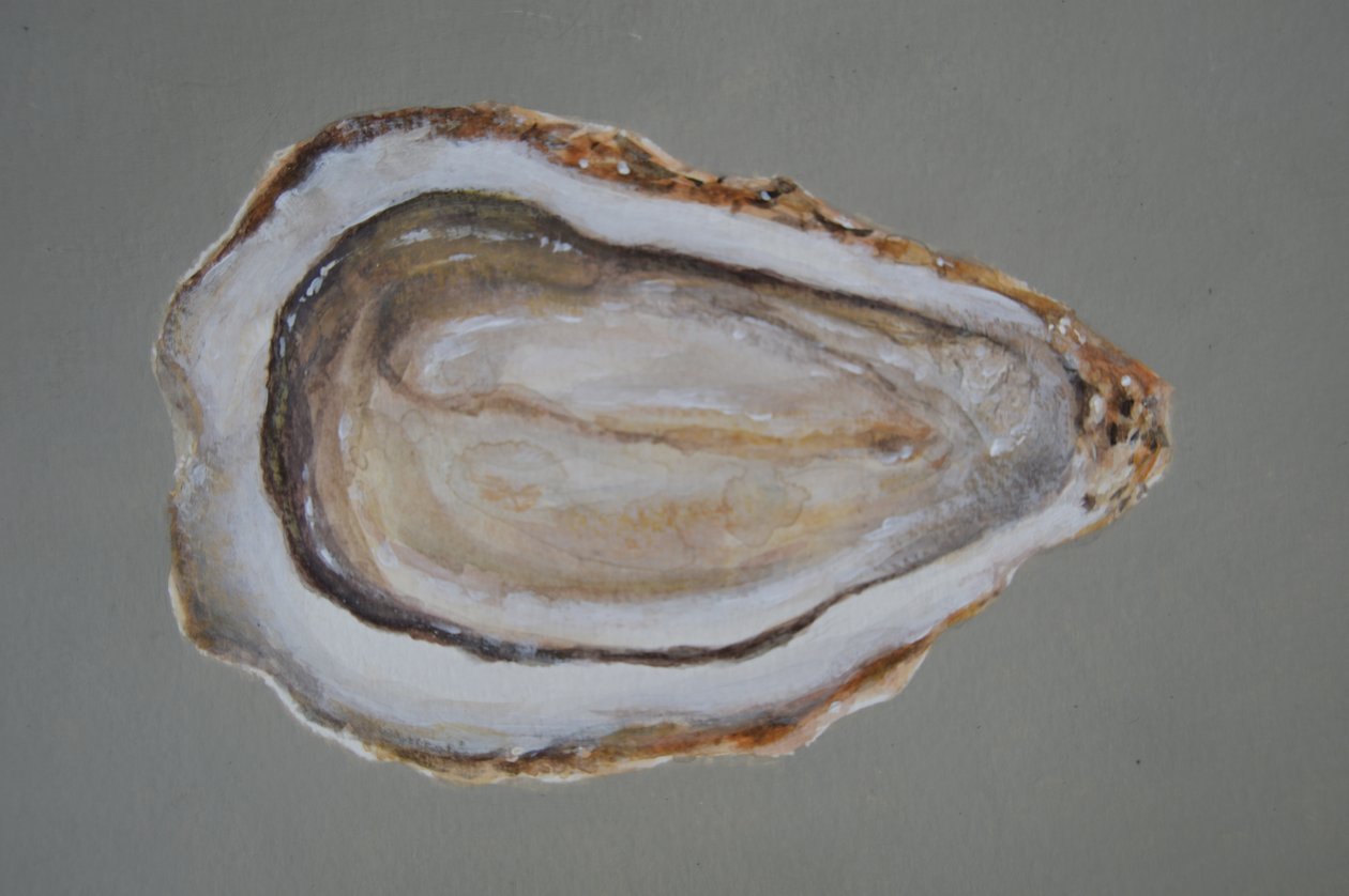 Breton Oyster 2 av Lincoln Seligman
