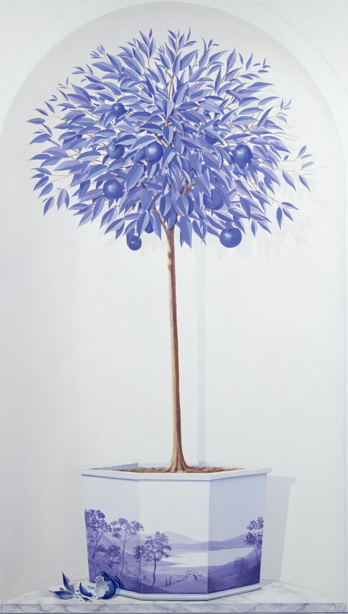 China Blue Tree satt i en nisje av Lincoln Seligman