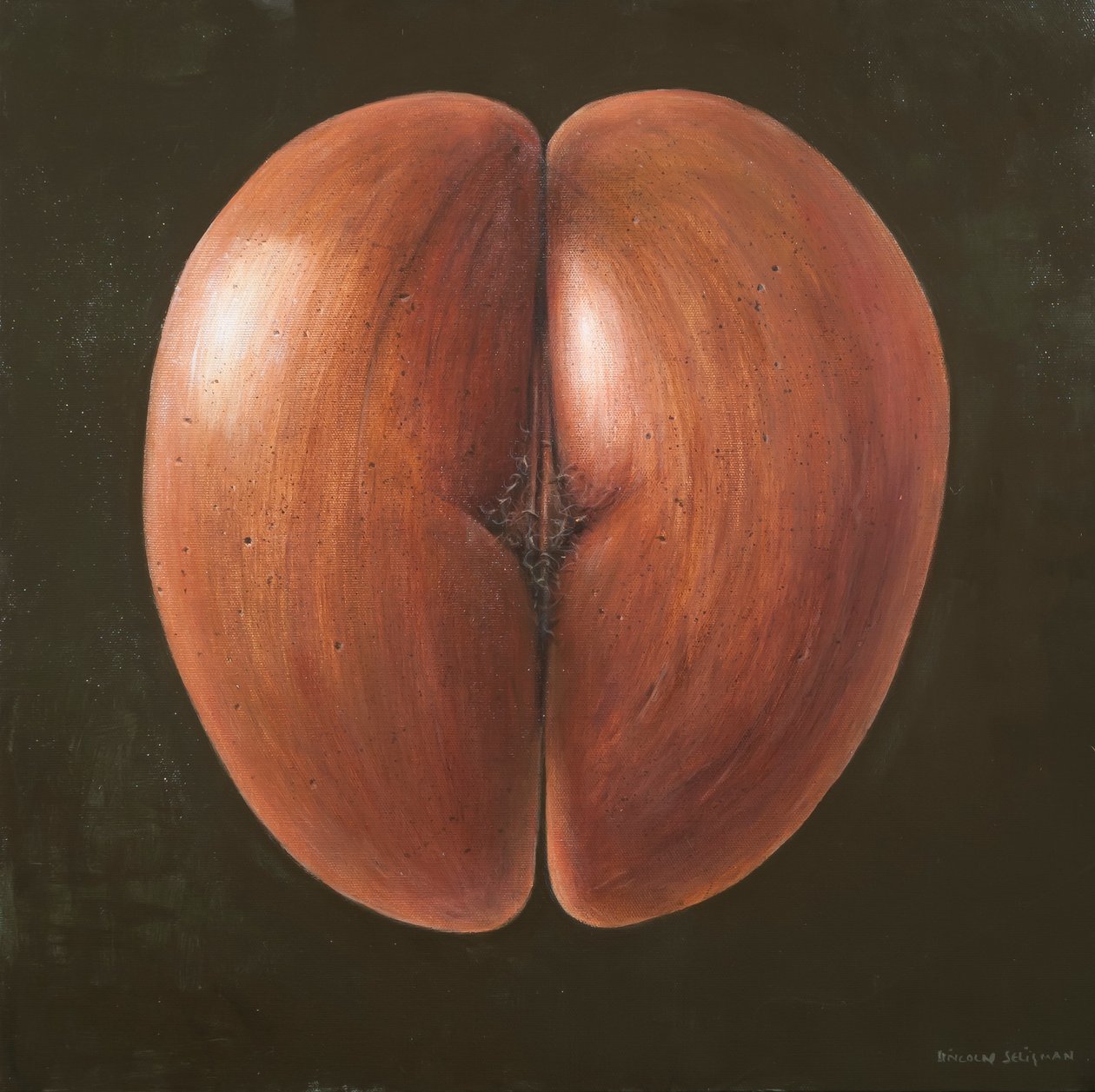 Coco de Mer, Maldivene, 2012 (akryl på lerret) av Lincoln Seligman