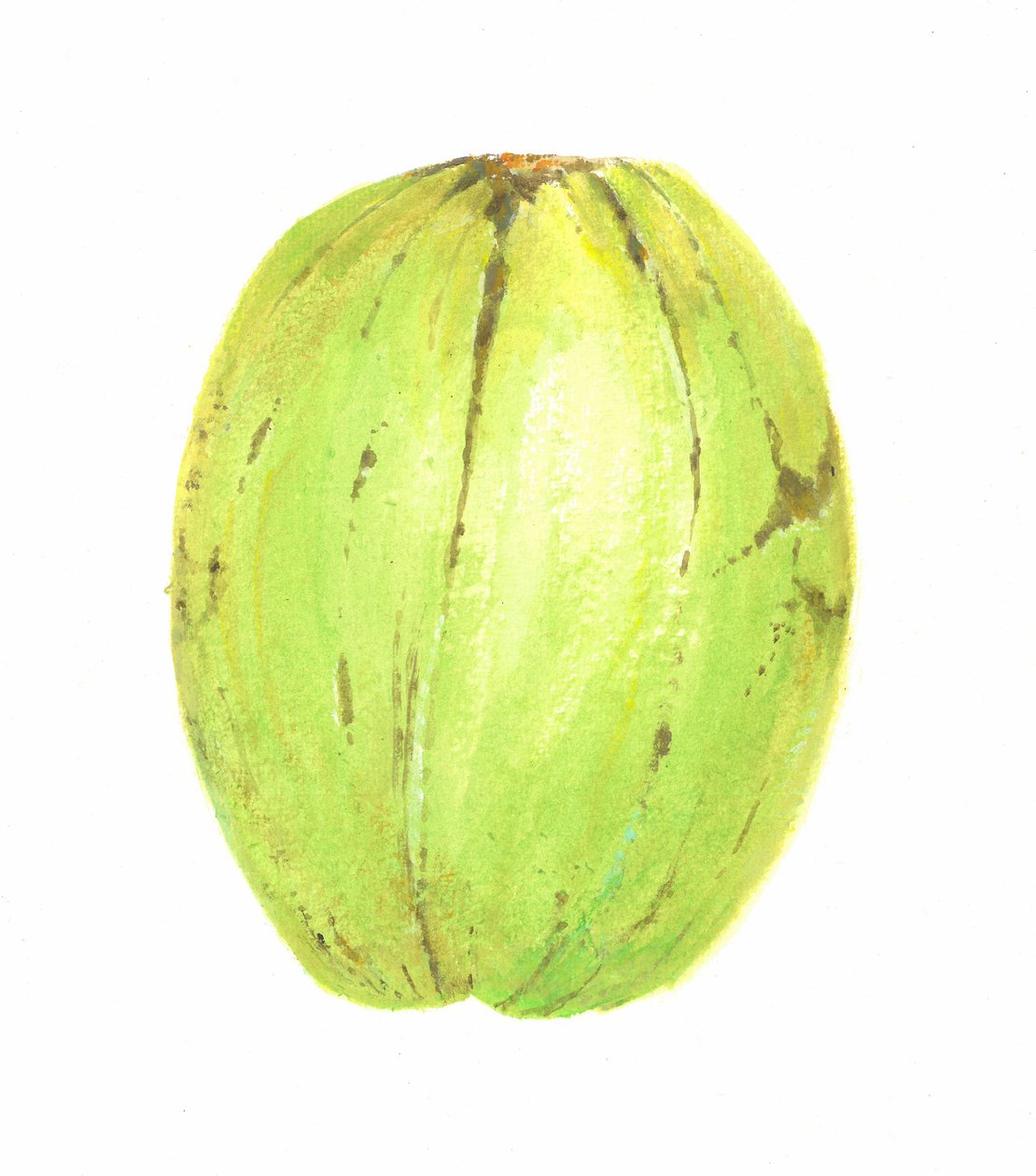 Kokosnøtt, Sri Lanka, 2015 av Lincoln Seligman