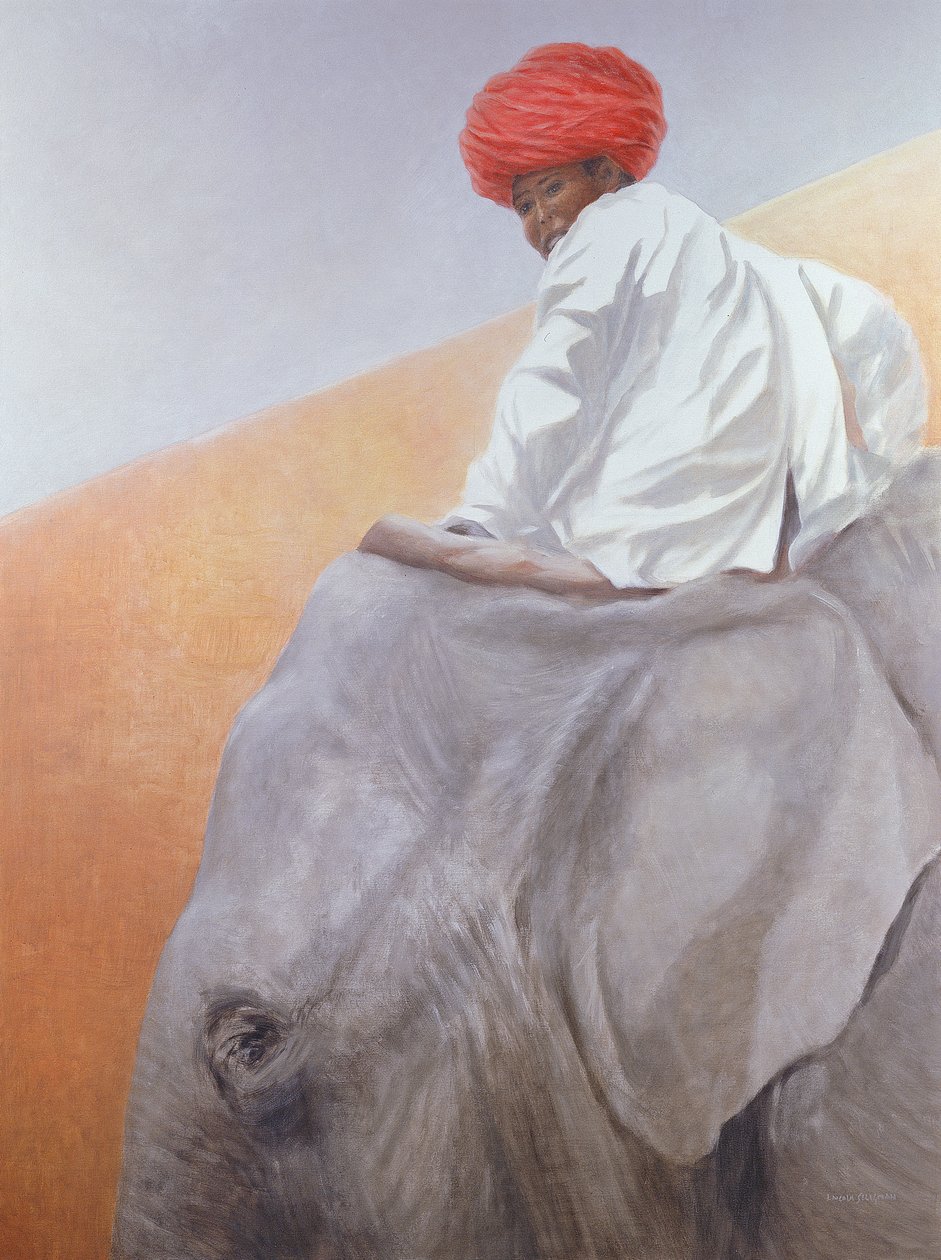 Elefantgutt av Lincoln Seligman